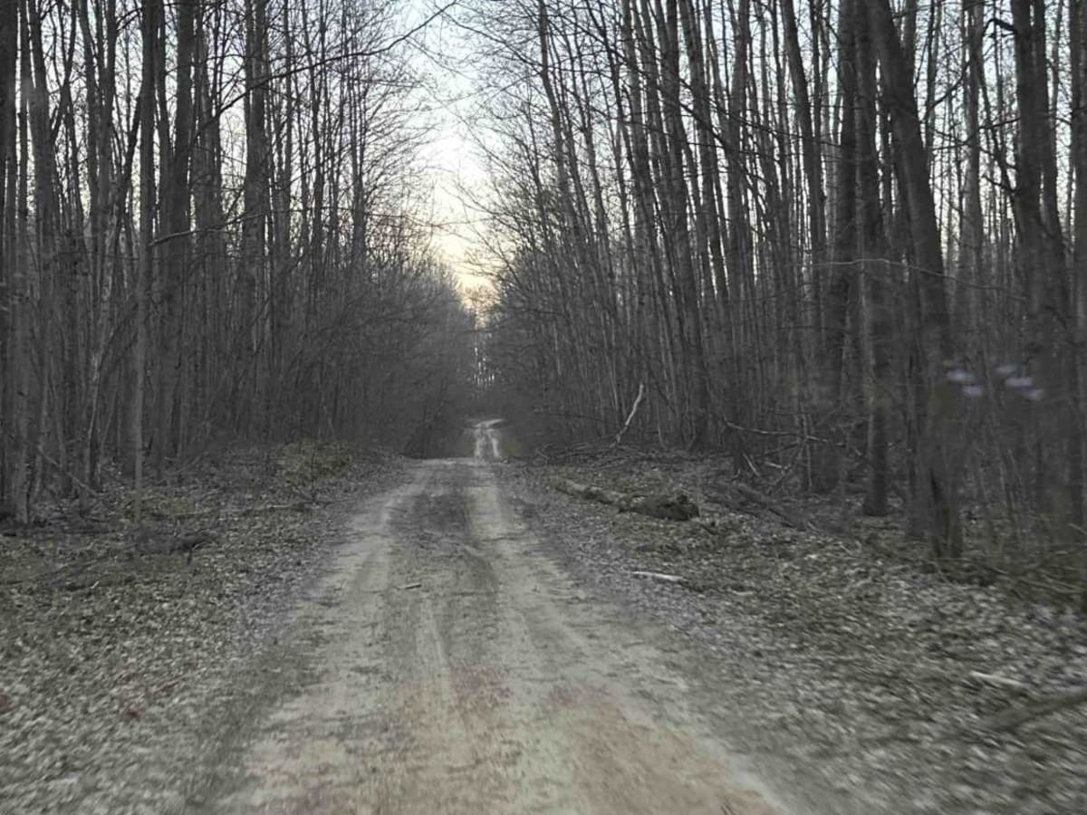 FS 4517 photo 4