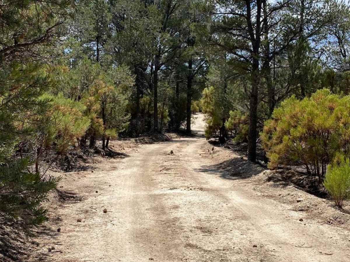 Laguna Hanson Road Detour photo 5