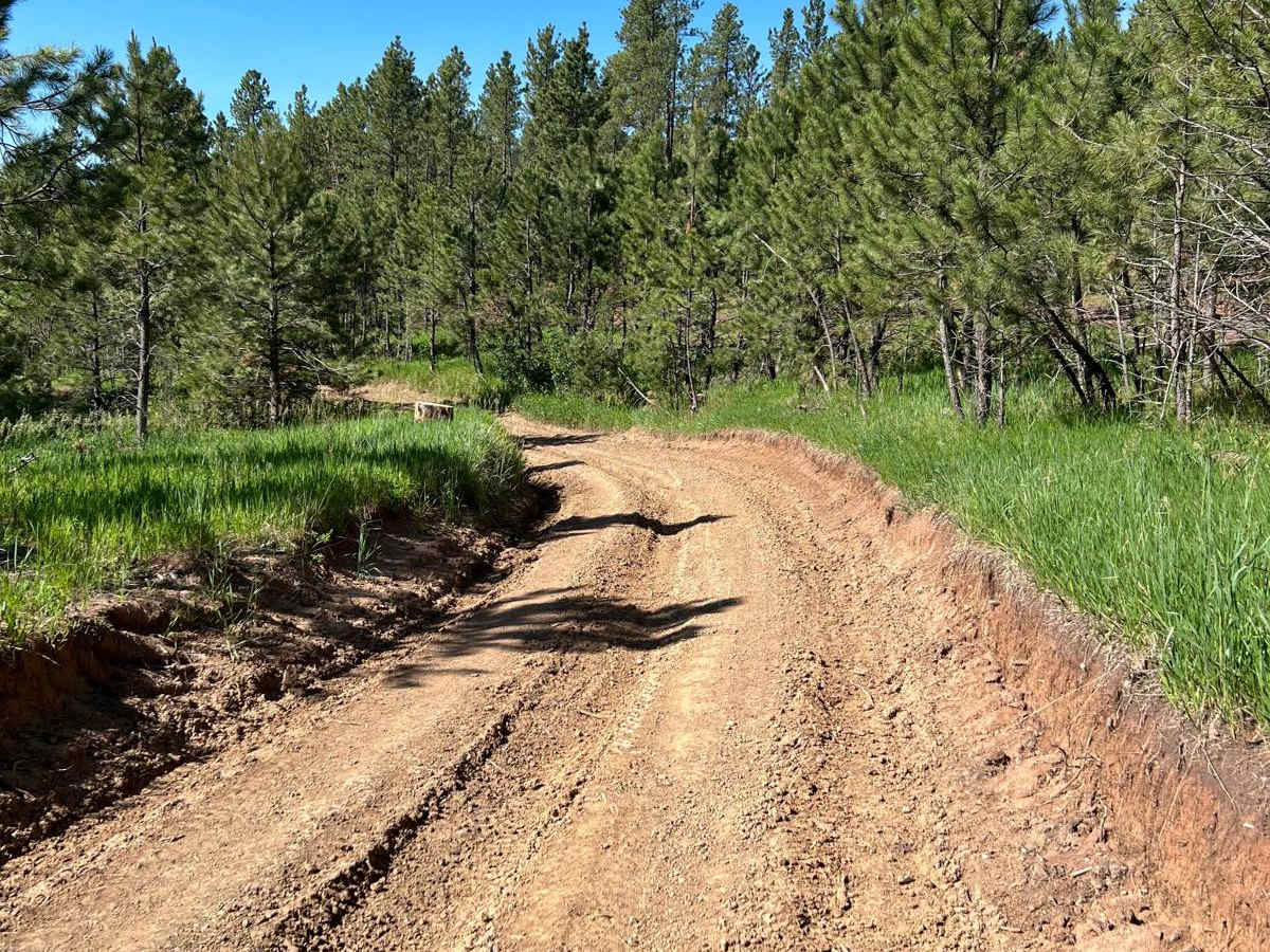 Flat Nastys trail photo