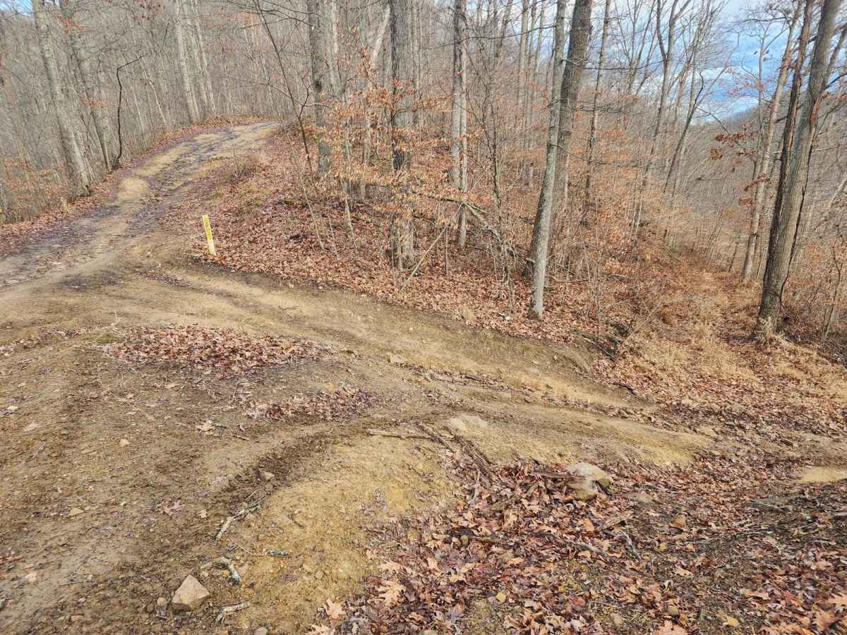 Emily Creek trail photo