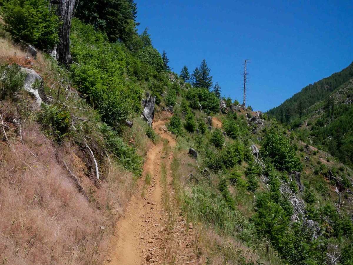 Jordan Creek #84 (Part 3) trail photo