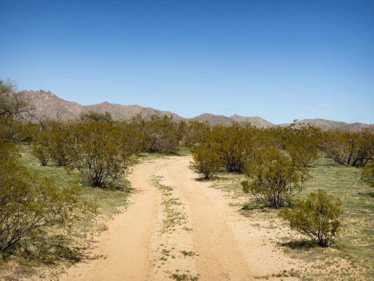 Lower Loop Trail photo 4