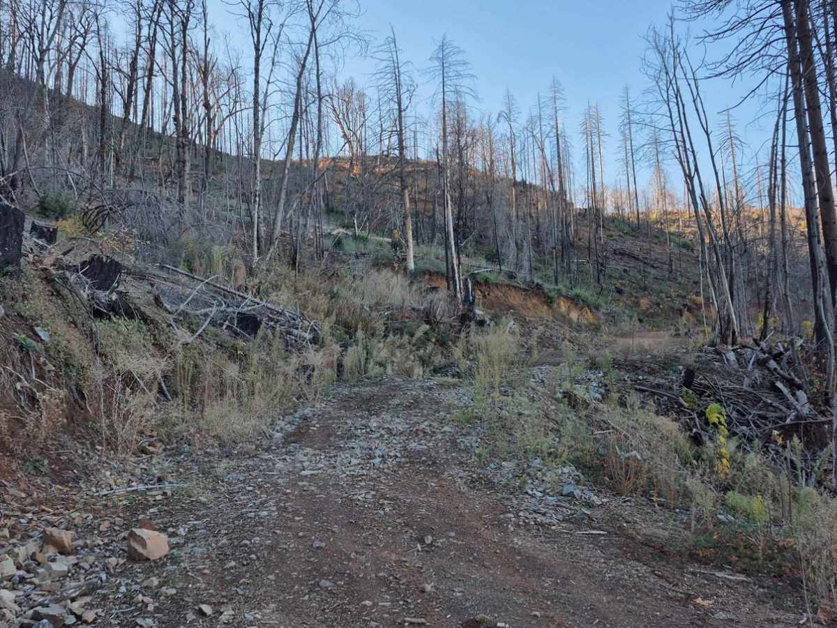 Rubicon Road - 13N66 photo 5