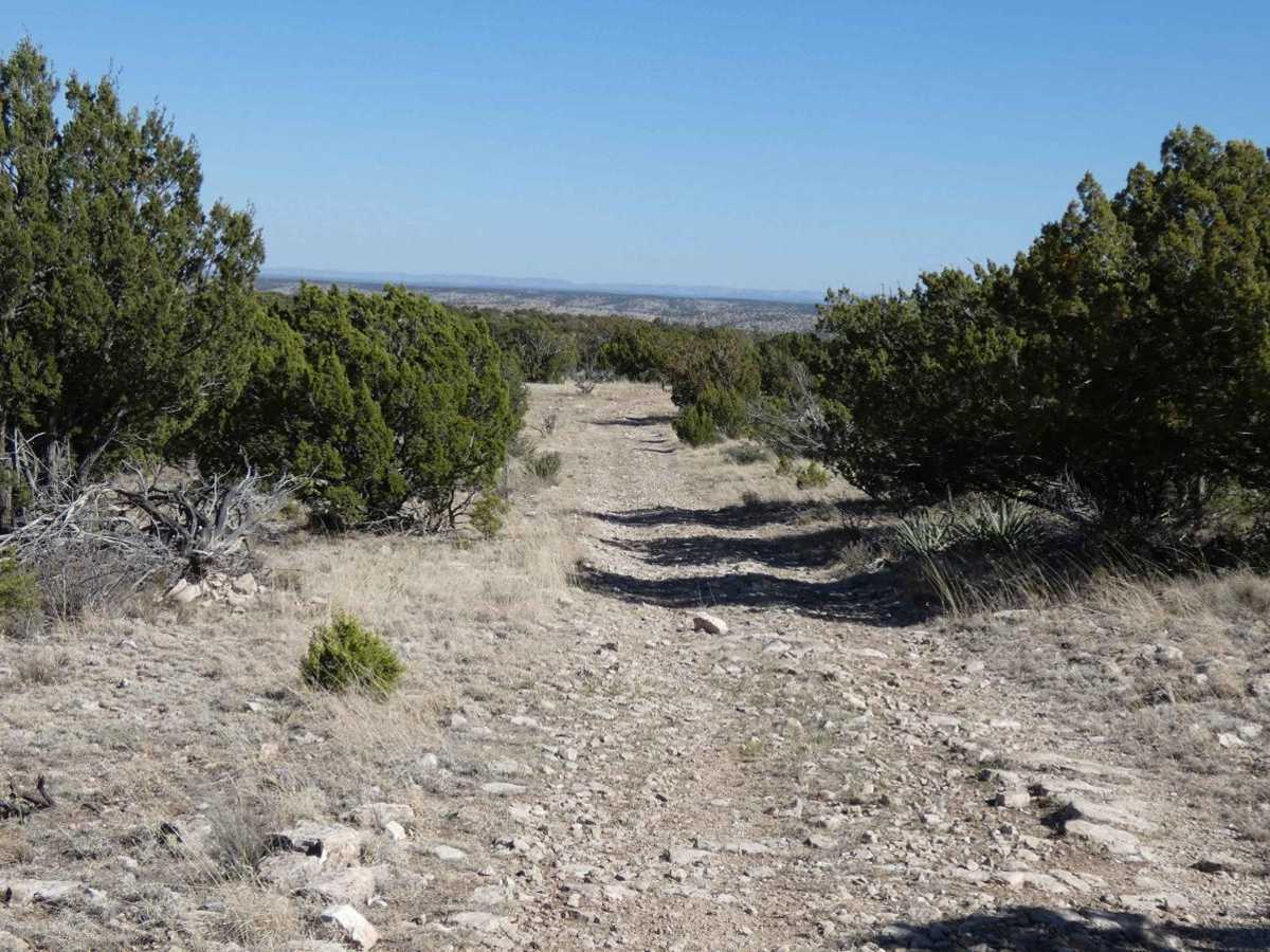 Corkscrew photo 3