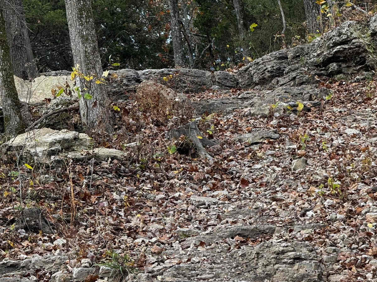 Tim's Hill photo 3