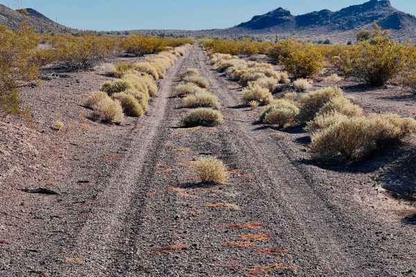 Corral to Corral Cutover