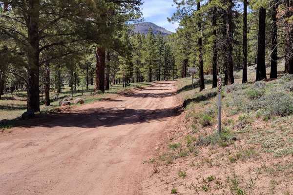 30323 - Wildcat Trail