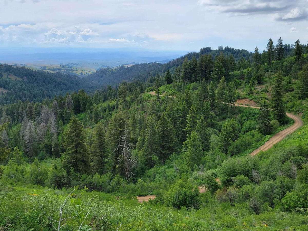 FR 306 - Iron Mountain Trail trail photo
