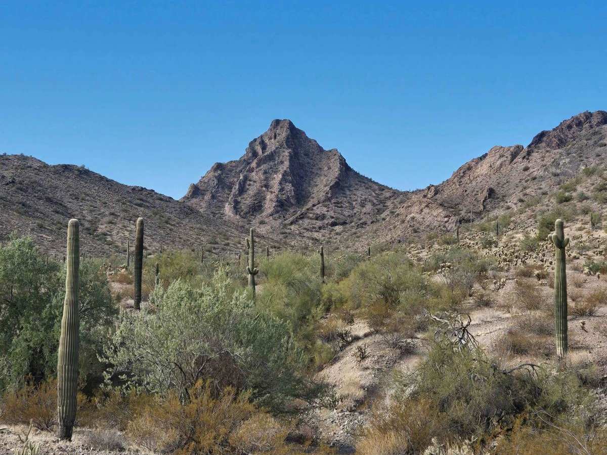 Round the Mountain Trail photo 5