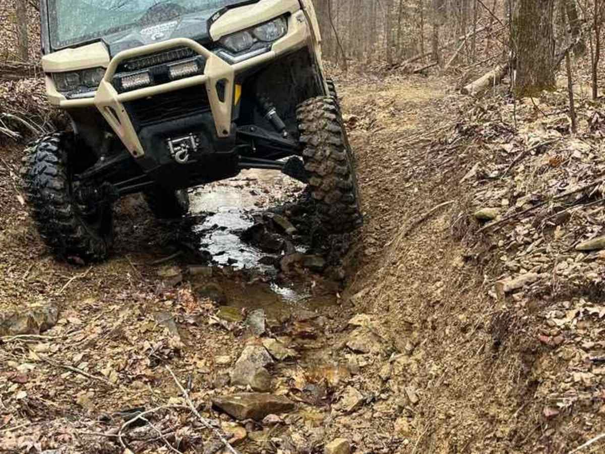 Trail 85 photo 4