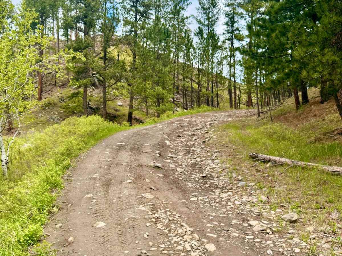 Ruby Gulch Road - FS 738 photo 5