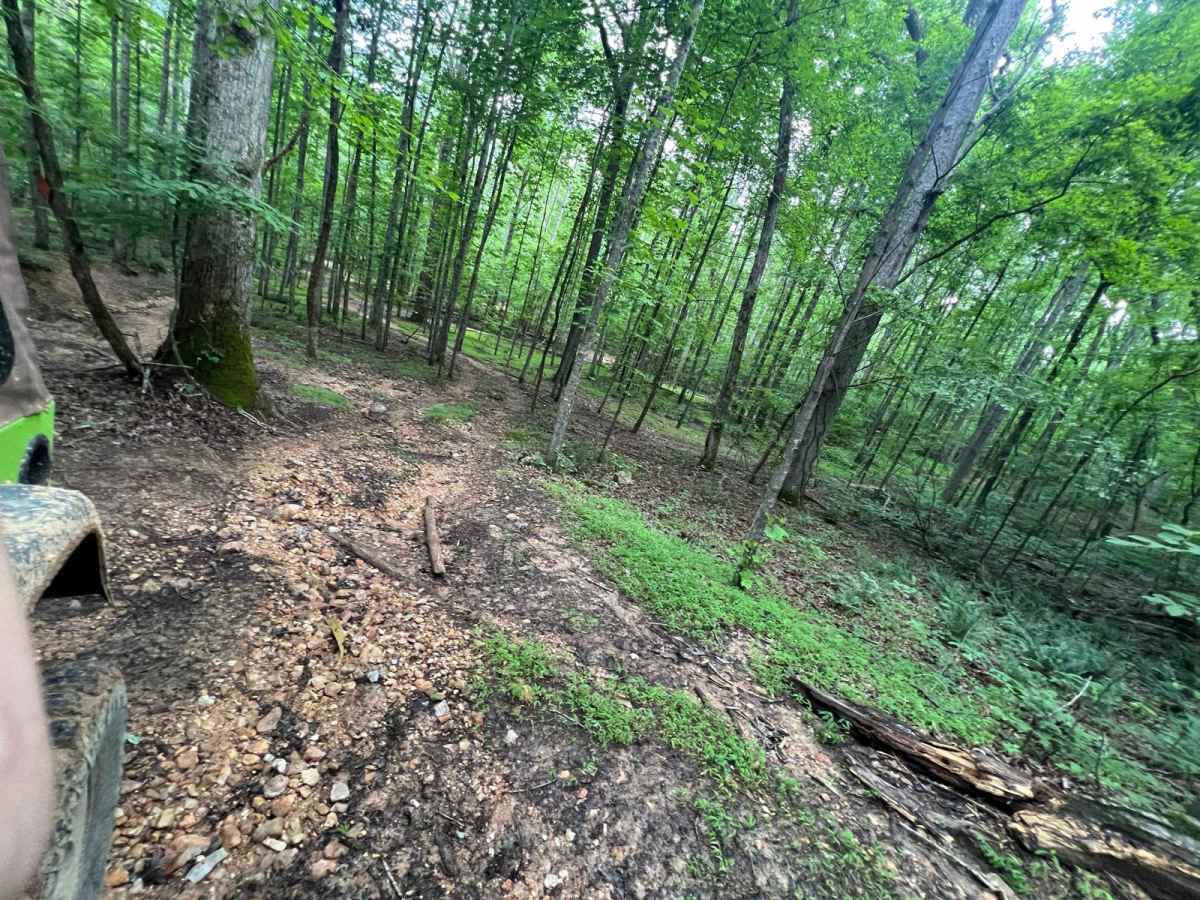 Turkey Bay OHV 7209 photo 2