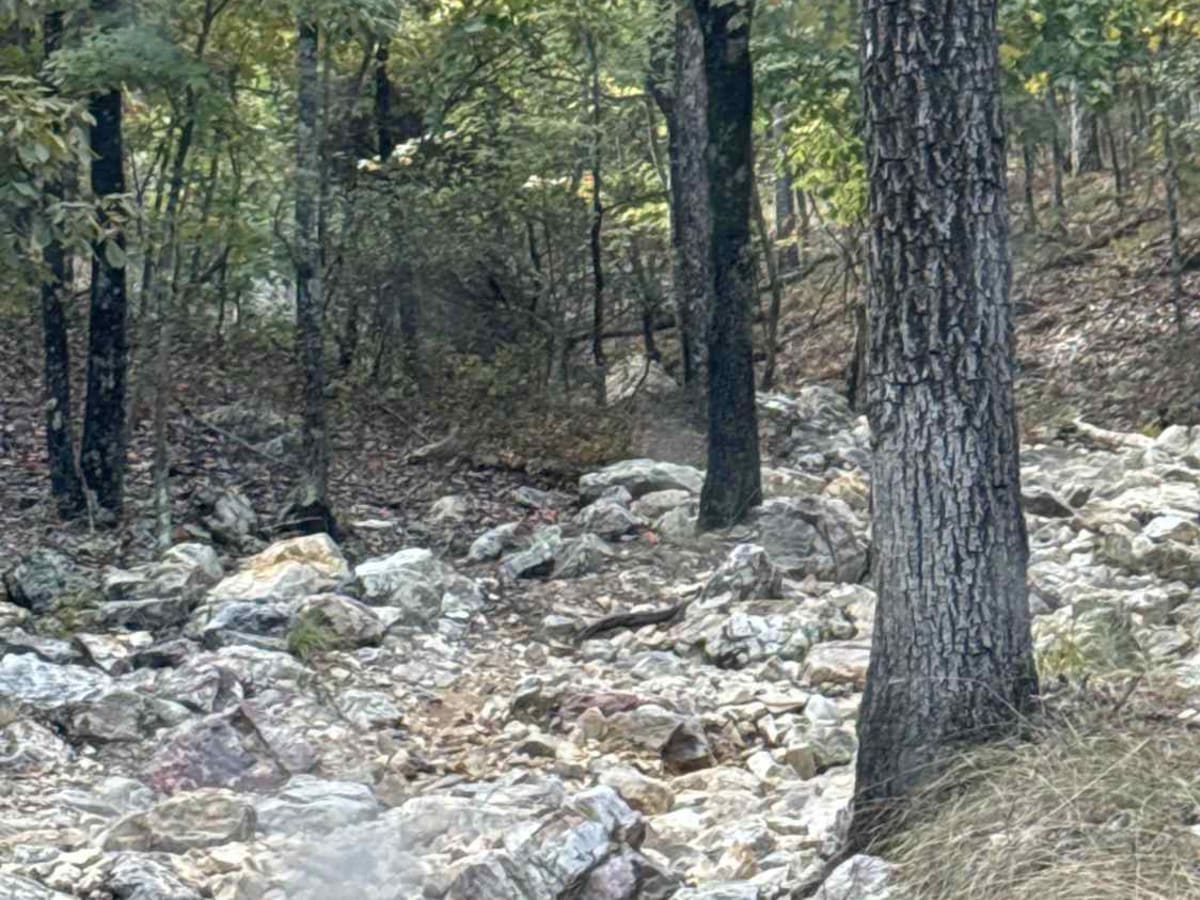 Ravine photo 4