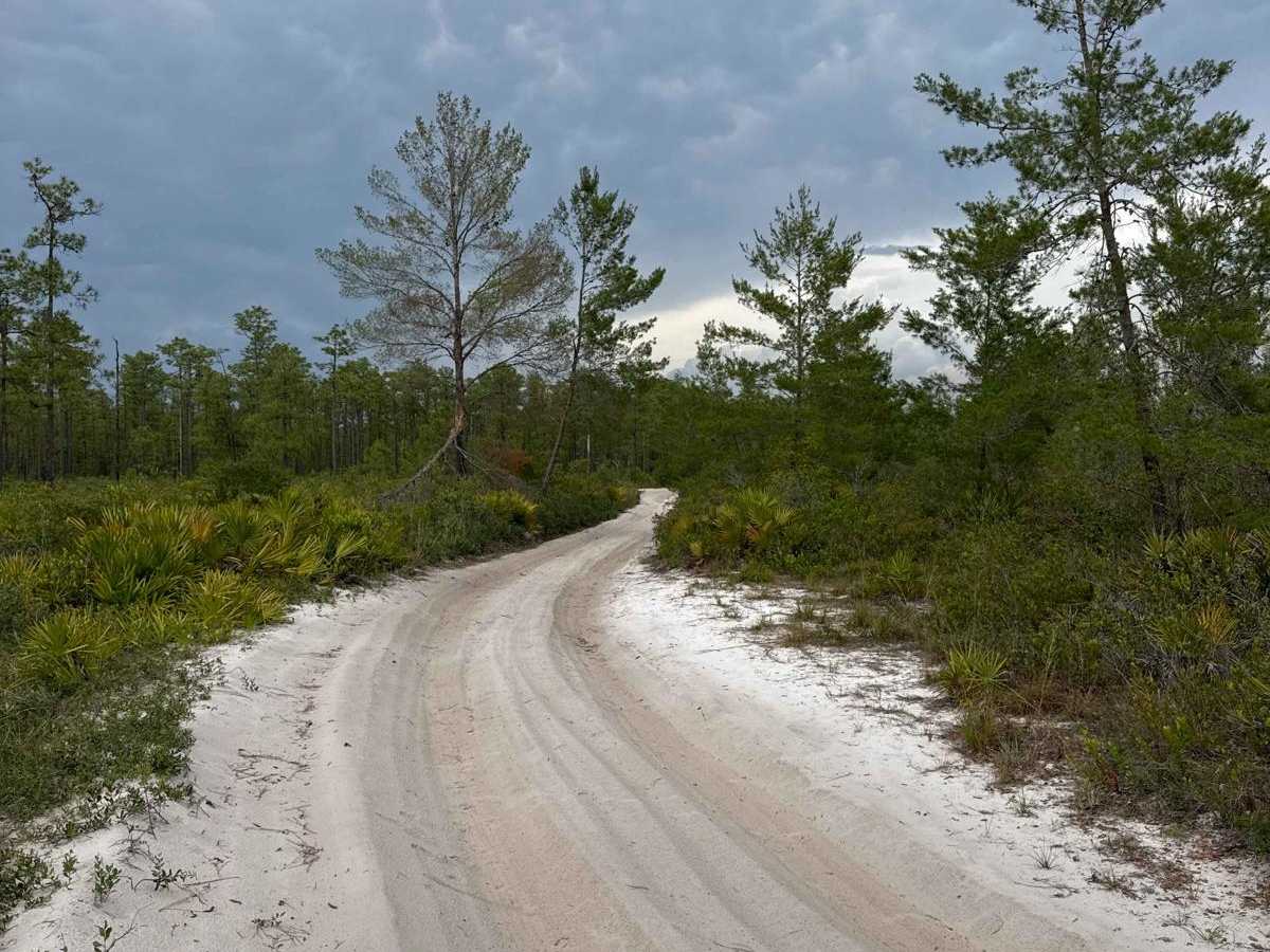 Glenn Brench - ONF 42-21.0 trail photo