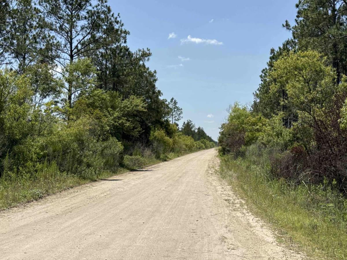 Gully Branch Road trail photo