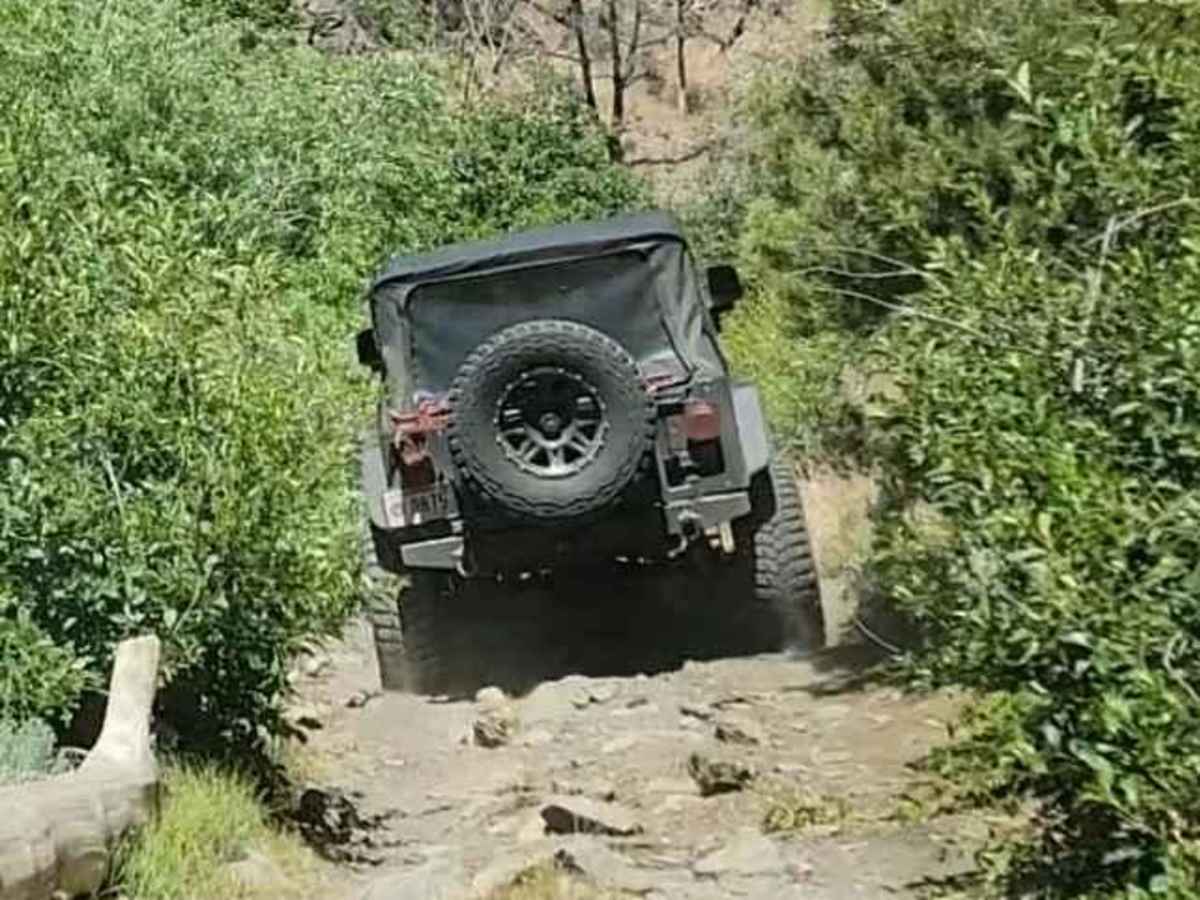 Poison Creek photo 5