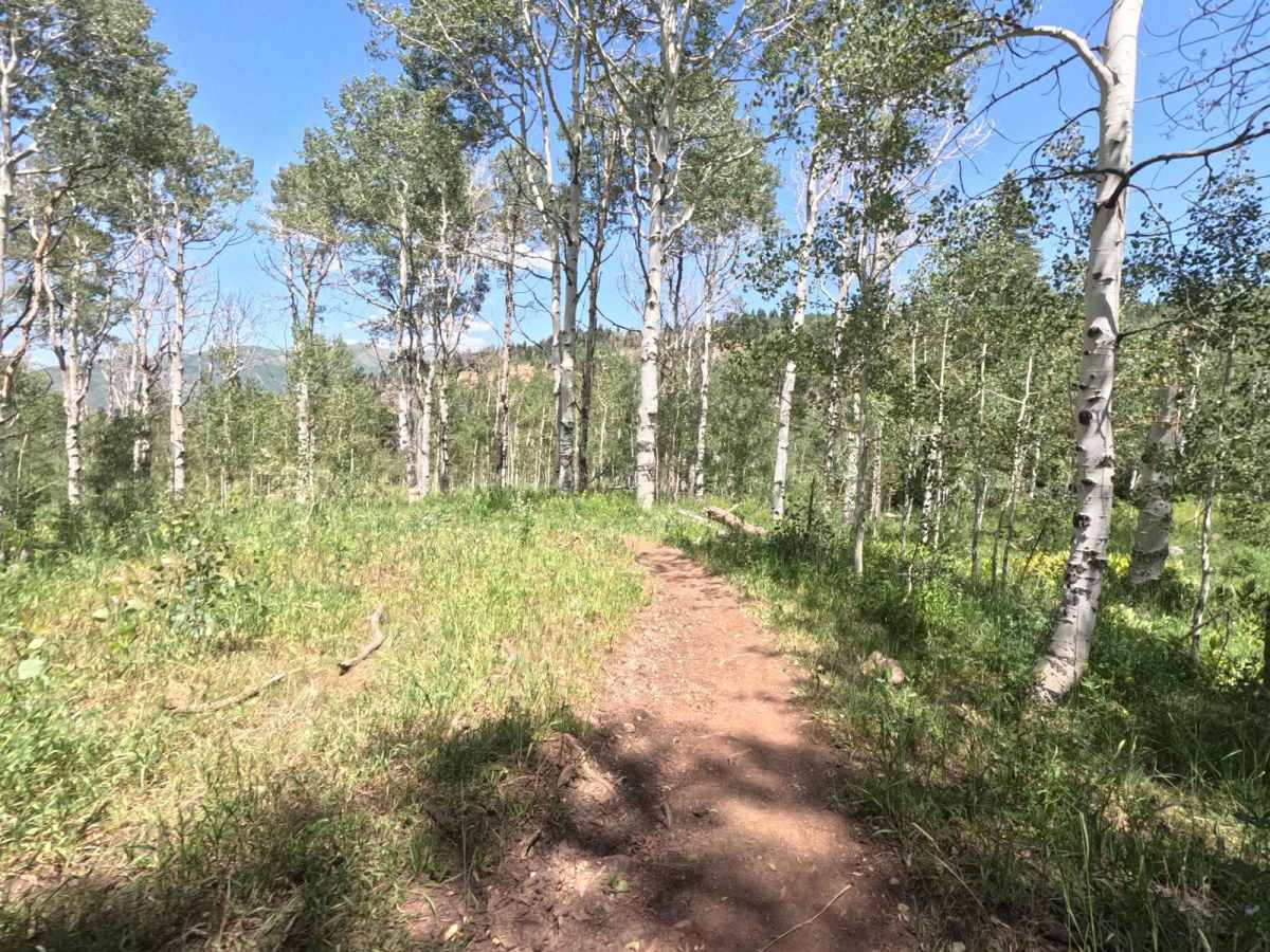 Shram Creek - FS 8124 photo 4