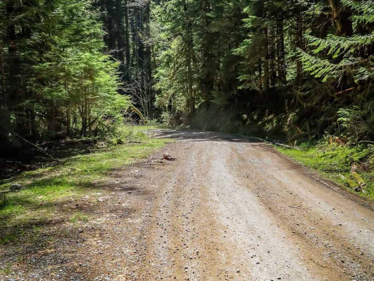 North Fork Stilly photo 2