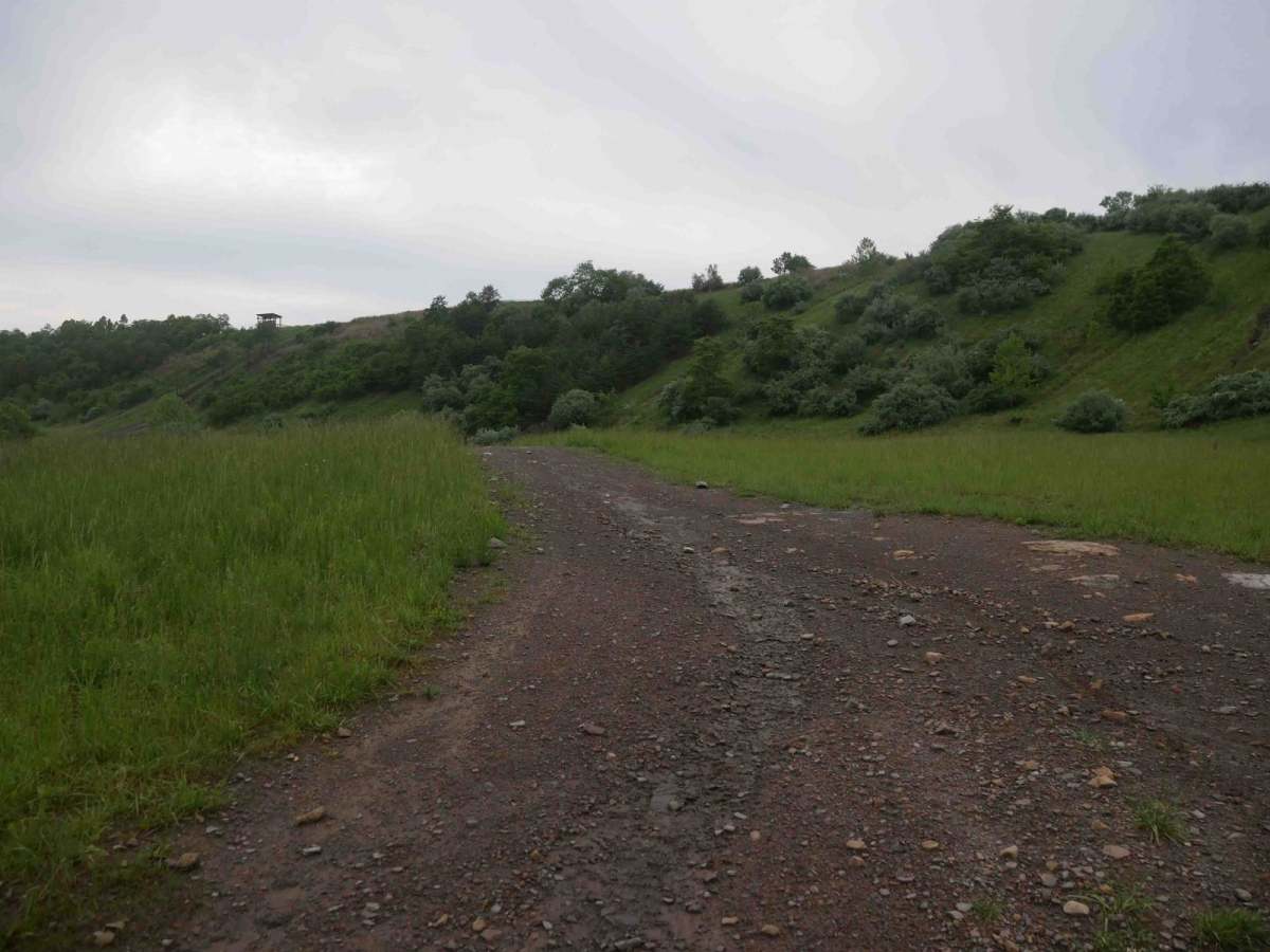 CC4 photo 6