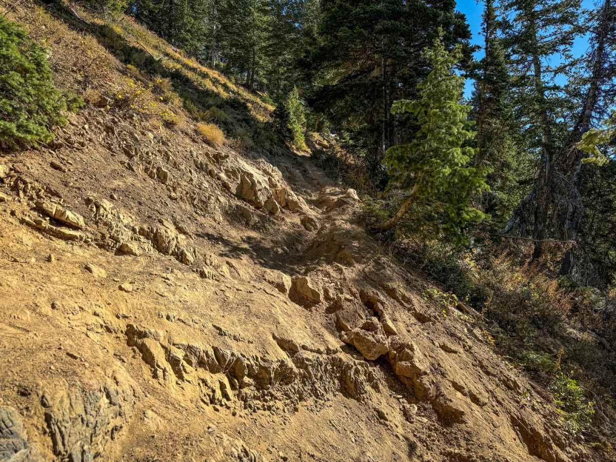 Ridge photo 6
