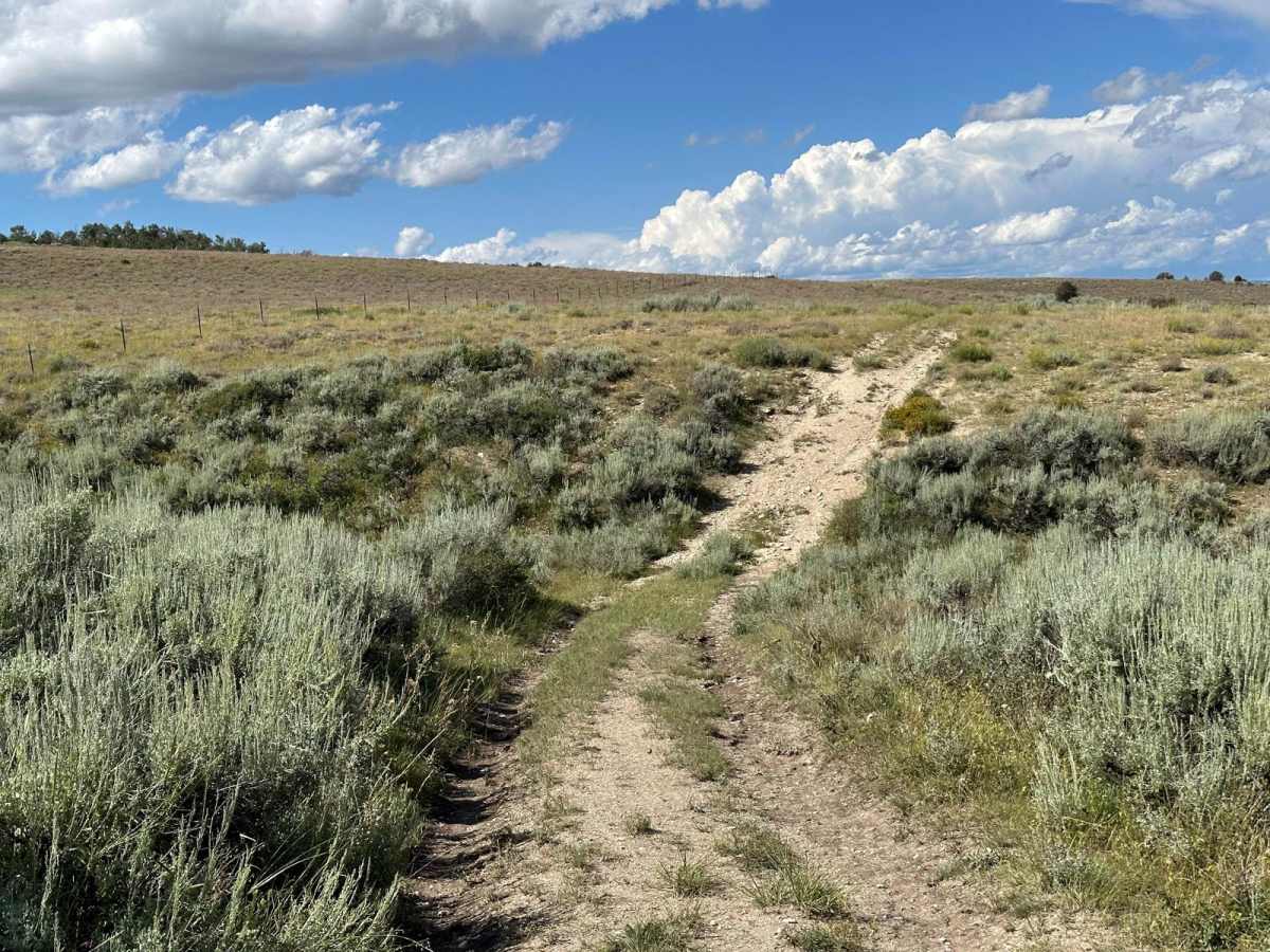 Fossil Butte BLM Trail photo 5
