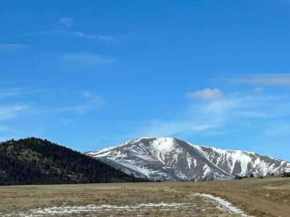 Meadow Drive/ James Mark Jones Wildlife Area photo 2