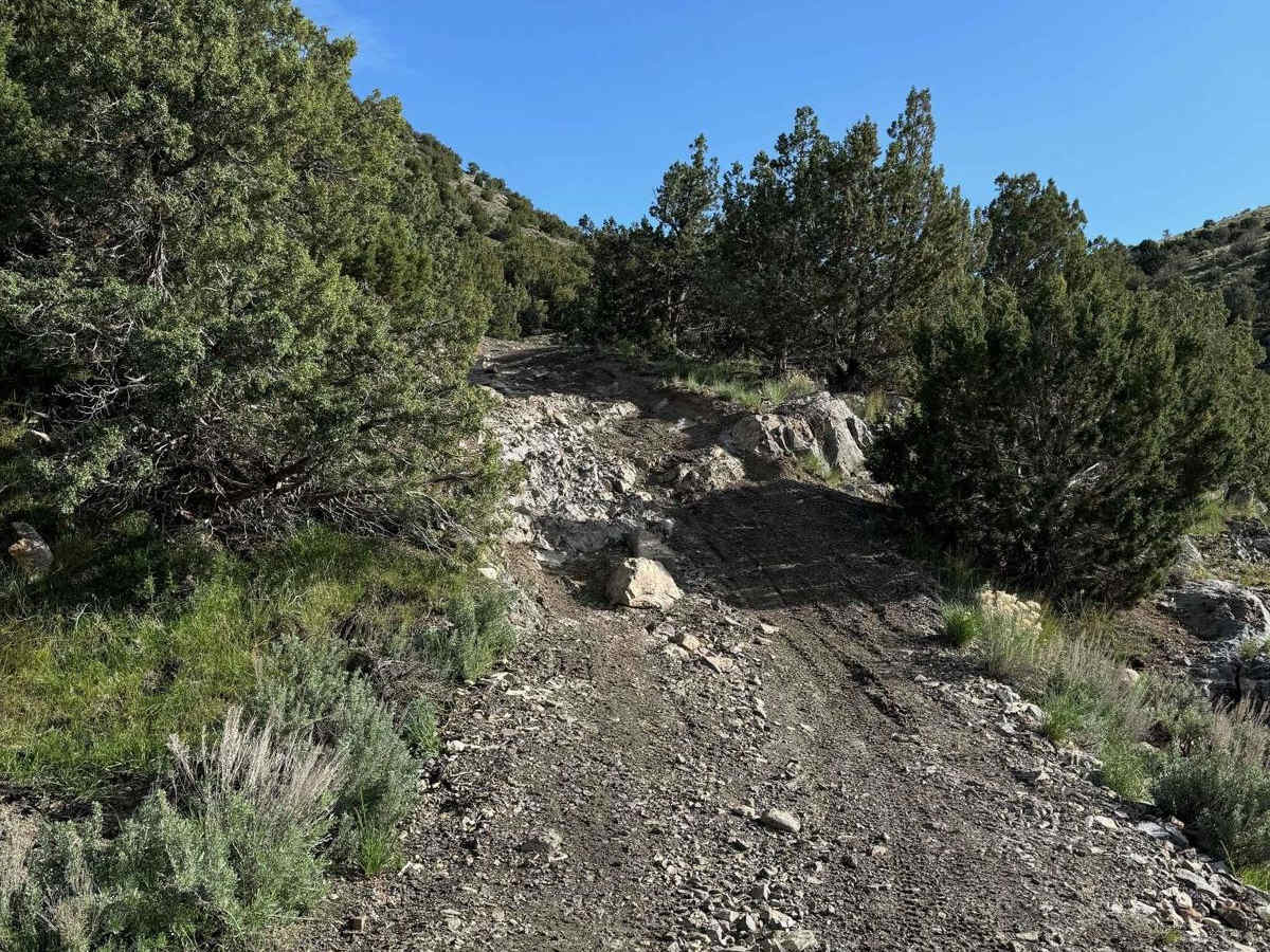 Lake Mountain Trail trail photo