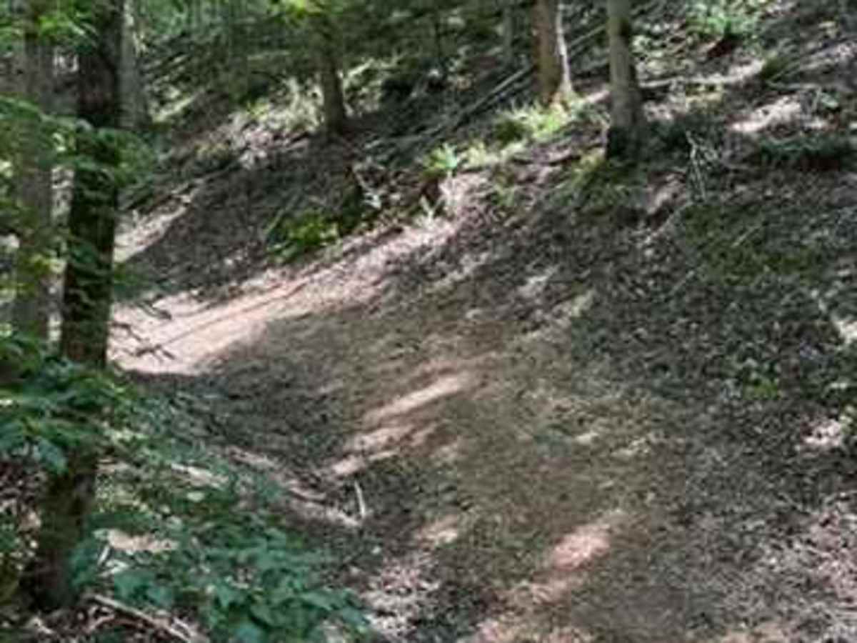 Caitlyn's Trail photo 3