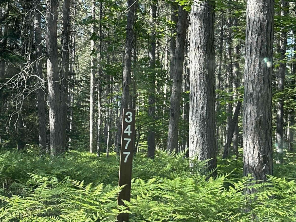 FS 3477 trail photo