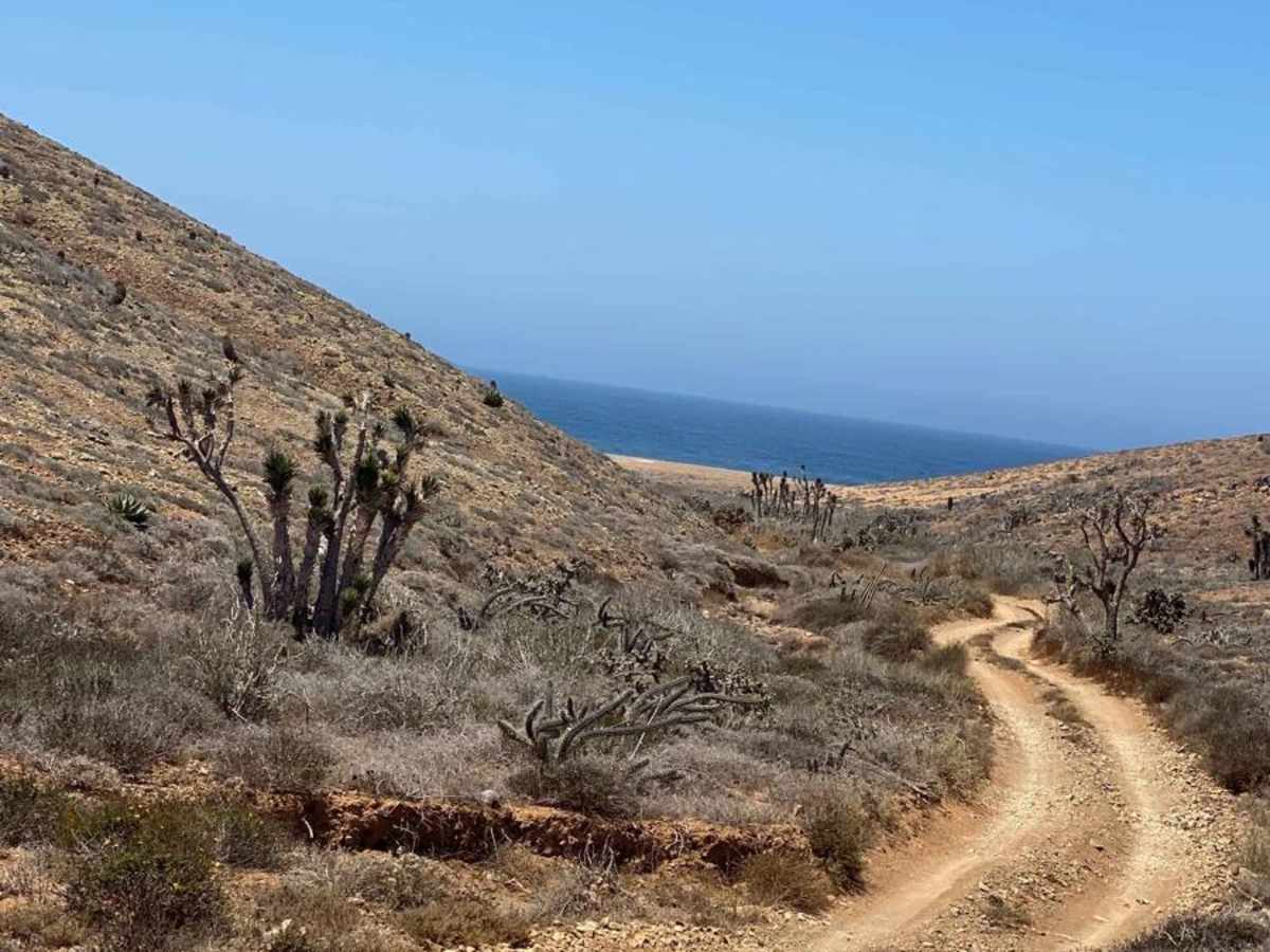 San Jose El Faro to Chapala Intermittent trail photo