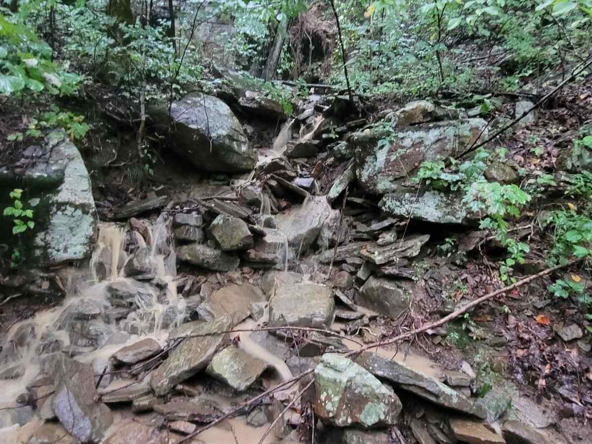 Trail 87 - Poplar Creek photo 5