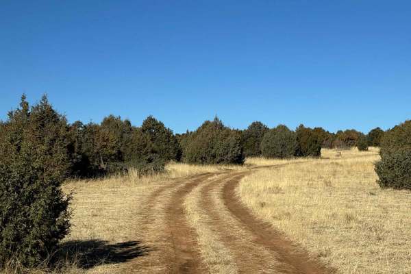 Rowe Peak Pass