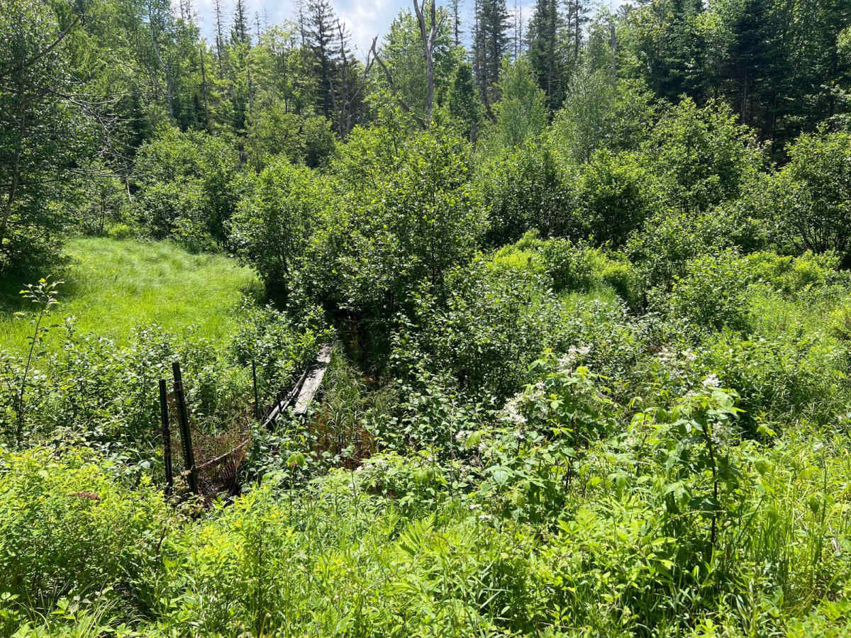 Little Larry Road photo 5