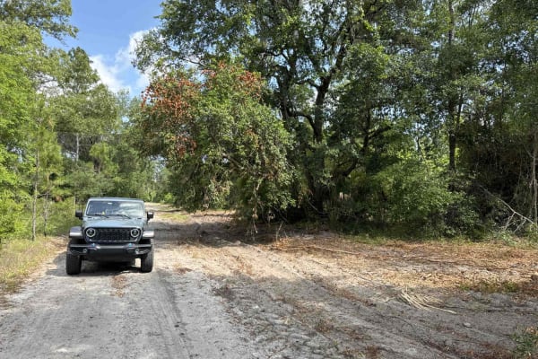 Jeep Trail - Grove Park South WMA