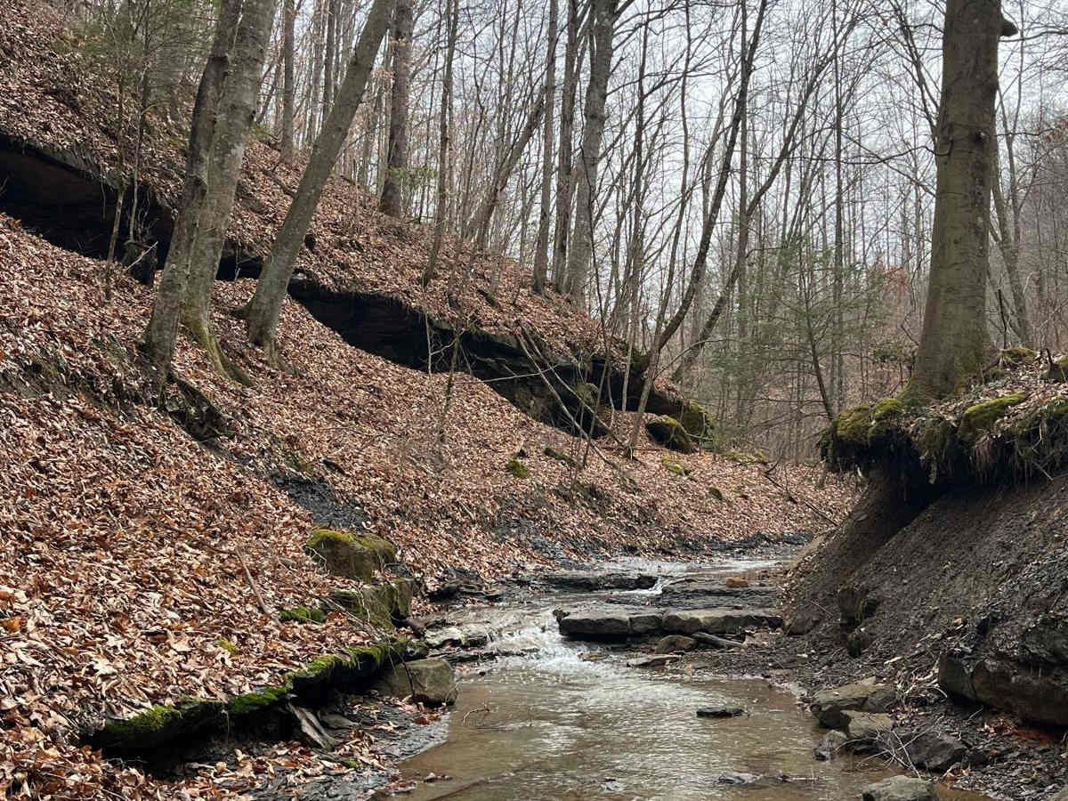 Trail 34 Maynards Fork photo 2