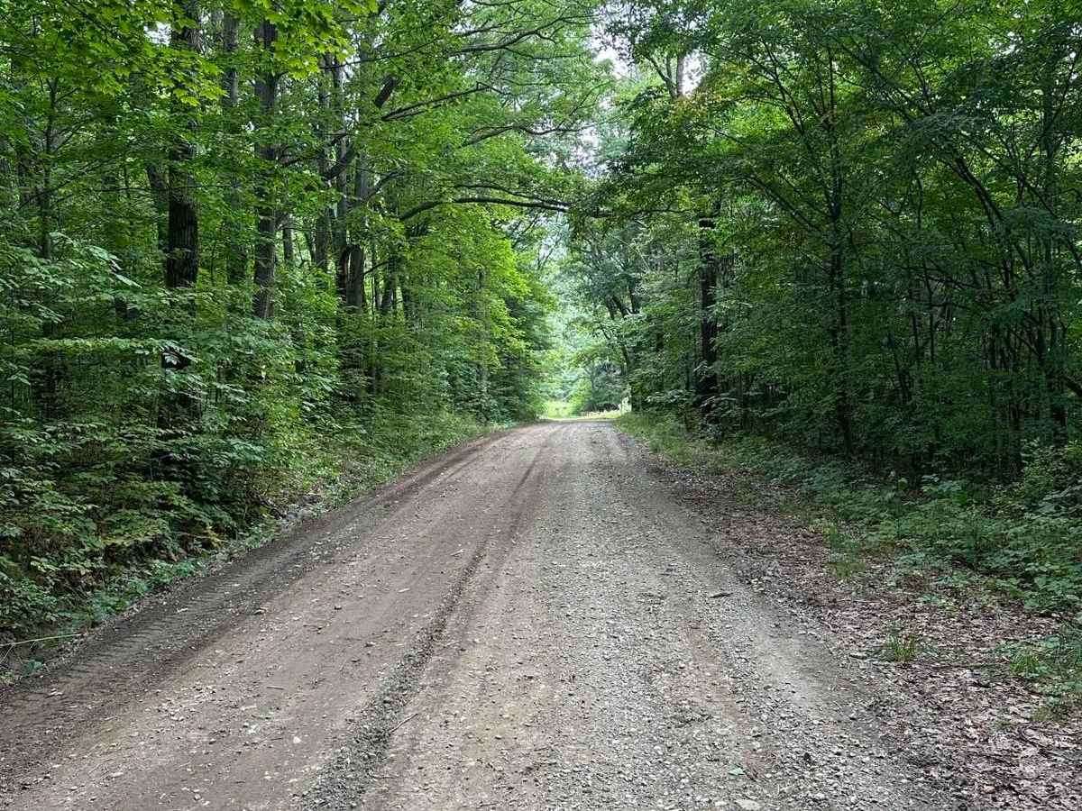 Emerson Road photo 4