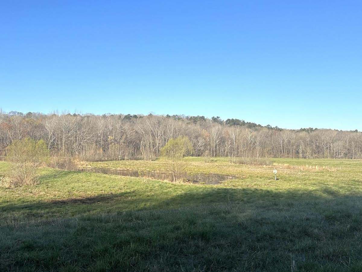 Long Creek Road photo 3