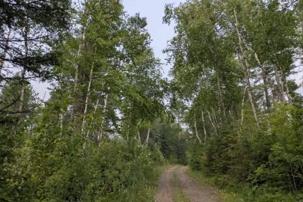 Stony Lookout