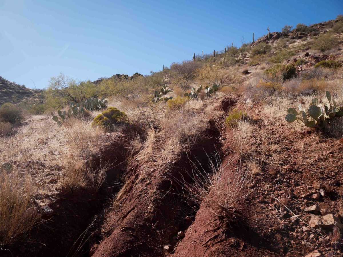 Picacho Singletrack trail photo