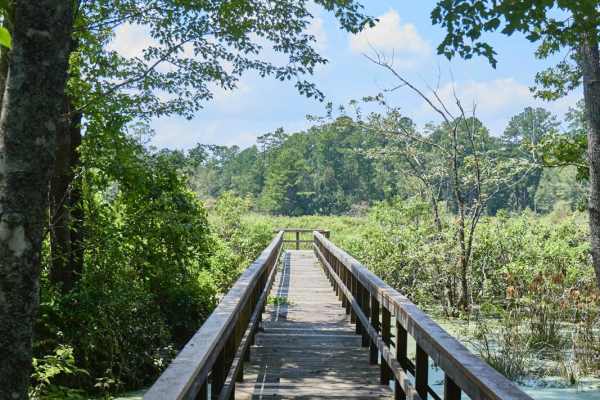 Fish Pond - Rookery Overlook