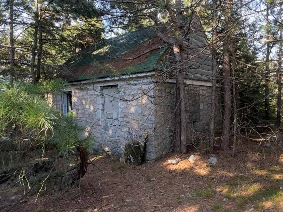 Kellogg Mountain House photo 4