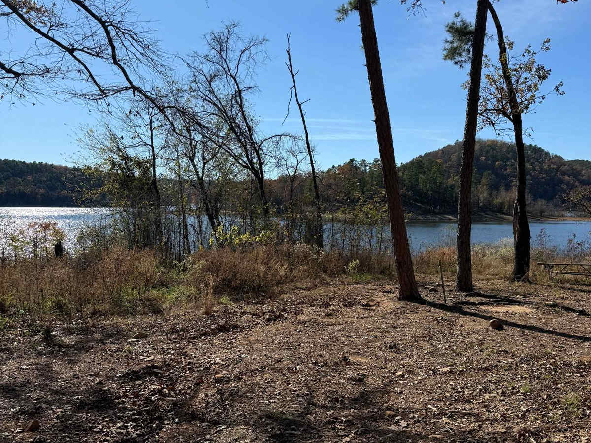 Johnny Beavers Trail to Holly Creek Landing trail photo