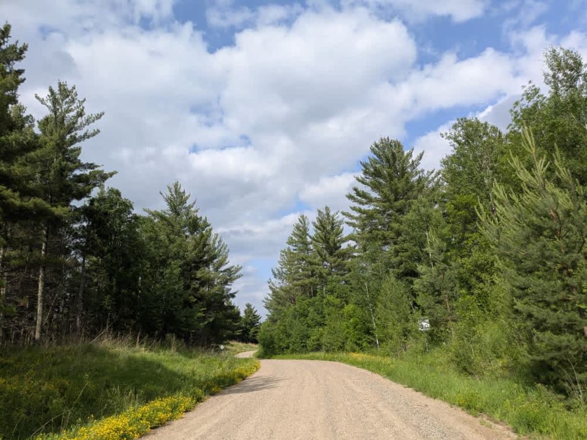 Woodtick Auto Route - FS 2107 photo 4
