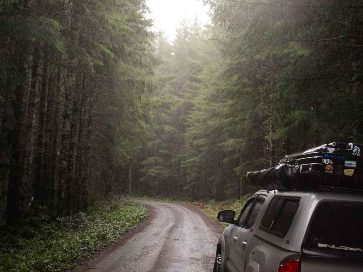 Capitol State Forest Smooth Cruise photo 5