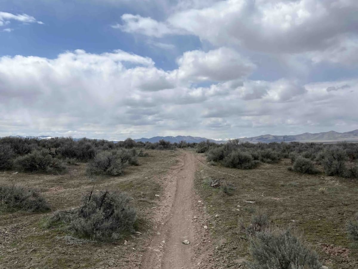 Sage Speedway trail photo
