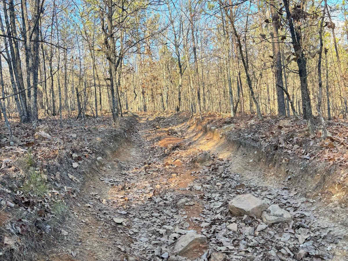27A trail photo