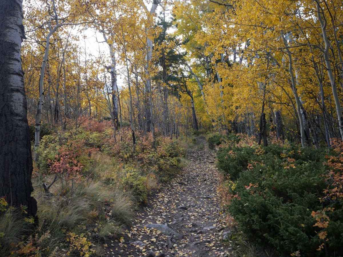 Left Hand ATV Trail trail photo