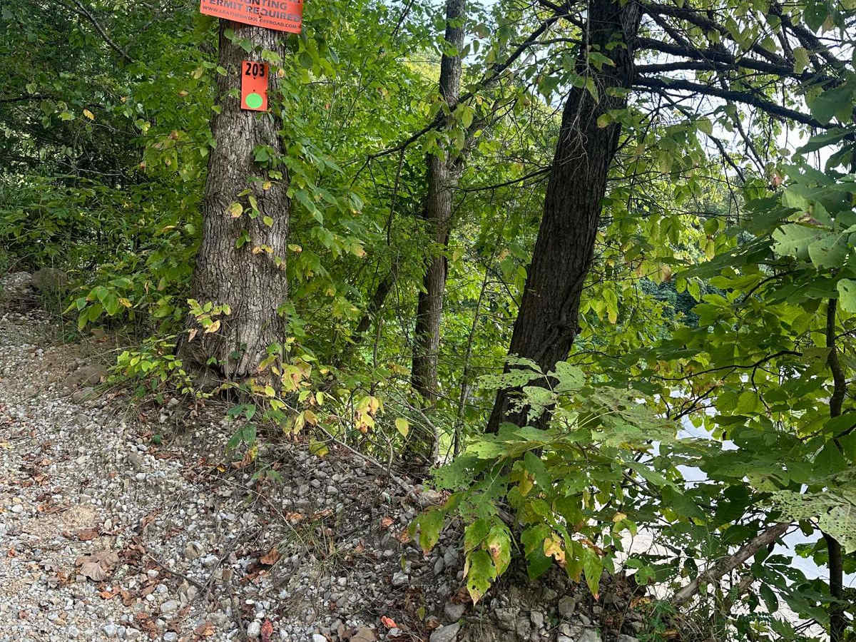 203 trail photo