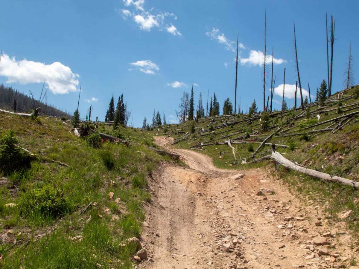 Mill Creek photo 3