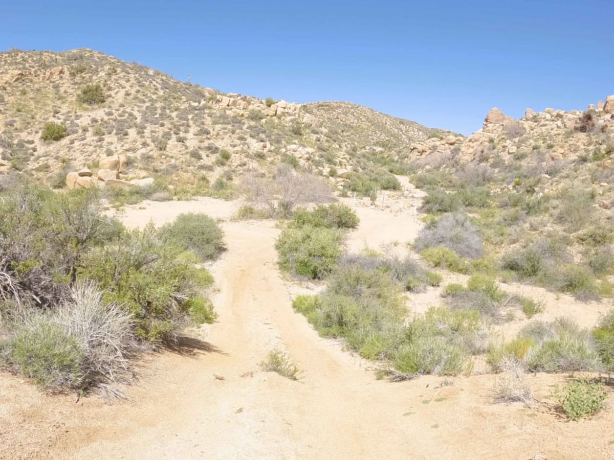 Spur - BLM C2315 photo 3